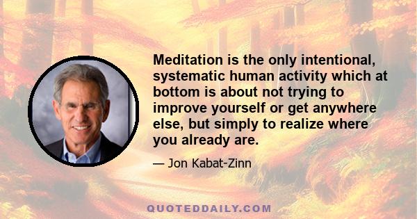 Meditation is the only intentional, systematic human activity which at bottom is about not trying to improve yourself or get anywhere else, but simply to realize where you already are.