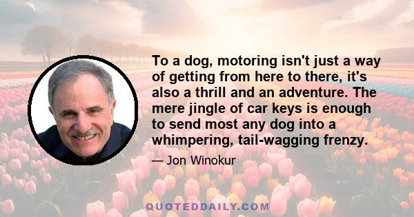 To a dog, motoring isn't just a way of getting from here to there, it's also a thrill and an adventure. The mere jingle of car keys is enough to send most any dog into a whimpering, tail-wagging frenzy.