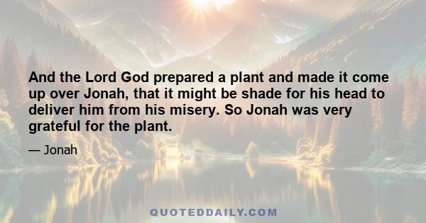 And the Lord God prepared a plant and made it come up over Jonah, that it might be shade for his head to deliver him from his misery. So Jonah was very grateful for the plant.