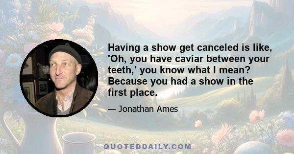 Having a show get canceled is like, 'Oh, you have caviar between your teeth,' you know what I mean? Because you had a show in the first place.