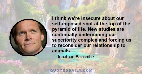 I think we're insecure about our self-imposed spot at the top of the pyramid of life. New studies are continually undermining our superiority complex and forcing us to reconsider our relationship to animals.