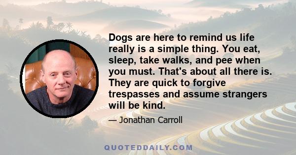 Dogs are here to remind us life really is a simple thing. You eat, sleep, take walks, and pee when you must. That's about all there is. They are quick to forgive trespasses and assume strangers will be kind.