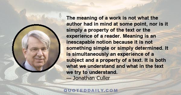 The meaning of a work is not what the author had in mind at some point, nor is it simply a property of the text or the experience of a reader. Meaning is an inescapable notion because it is not something simple or