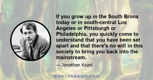 If you grow up in the South Bronx today or in south-central Los Angeles or Pittsburgh or Philadelphia, you quickly come to understand that you have been set apart and that there's no will in this society to bring you