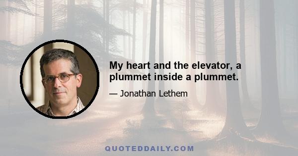 My heart and the elevator, a plummet inside a plummet.