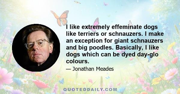 I like extremely effeminate dogs like terriers or schnauzers. I make an exception for giant schnauzers and big poodles. Basically, I like dogs which can be dyed day-glo colours.