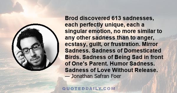 Brod discovered 613 sadnesses, each perfectly unique, each a singular emotion, no more similar to any other sadness than to anger, ecstasy, guilt, or frustration. Mirror Sadness. Sadness of Domesticated Birds. Sadness