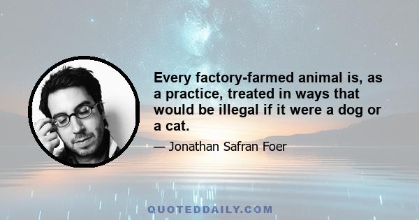 Every factory-farmed animal is, as a practice, treated in ways that would be illegal if it were a dog or a cat.