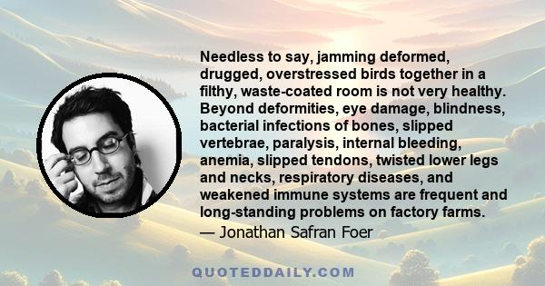 Needless to say, jamming deformed, drugged, overstressed birds together in a filthy, waste-coated room is not very healthy. Beyond deformities, eye damage, blindness, bacterial infections of bones, slipped vertebrae,