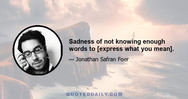 Sadness of not knowing enough words to [express what you mean].