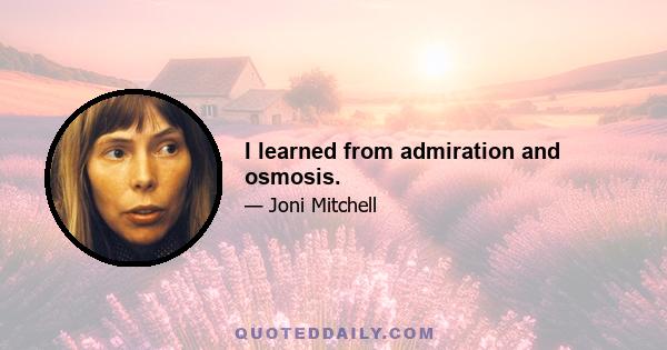 I learned from admiration and osmosis.