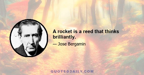 A rocket is a reed that thinks brilliantly.