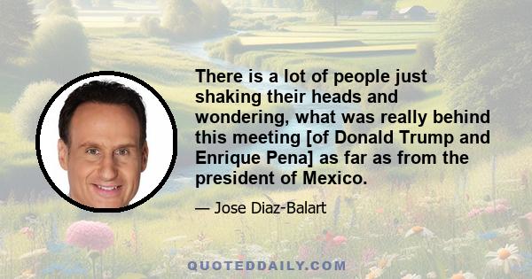 There is a lot of people just shaking their heads and wondering, what was really behind this meeting [of Donald Trump and Enrique Pena] as far as from the president of Mexico.