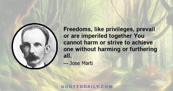 Freedoms, like privileges, prevail or are imperiled together You cannot harm or strive to achieve one without harming or furthering all.