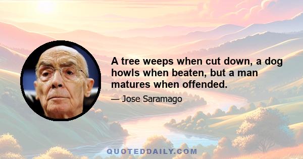 A tree weeps when cut down, a dog howls when beaten, but a man matures when offended.