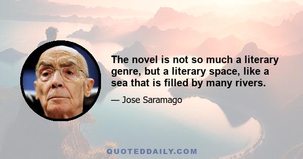 The novel is not so much a literary genre, but a literary space, like a sea that is filled by many rivers.