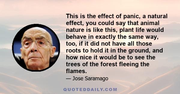 This is the effect of panic, a natural effect, you could say that animal nature is like this, plant life would behave in exactly the same way, too, if it did not have all those roots to hold it in the ground, and how