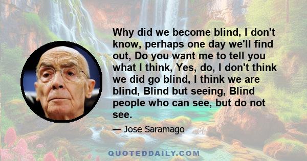 Why did we become blind, I don't know, perhaps one day we'll find out, Do you want me to tell you what I think, Yes, do, I don't think we did go blind, I think we are blind, Blind but seeing, Blind people who can see,