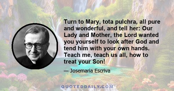 Turn to Mary, tota pulchra, all pure and wonderful, and tell her: Our Lady and Mother, the Lord wanted you yourself to look after God and tend him with your own hands. Teach me, teach us all, how to treat your Son!