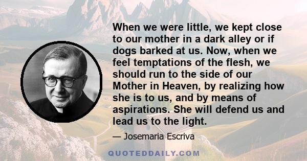 When we were little, we kept close to our mother in a dark alley or if dogs barked at us. Now, when we feel temptations of the flesh, we should run to the side of our Mother in Heaven, by realizing how she is to us, and 