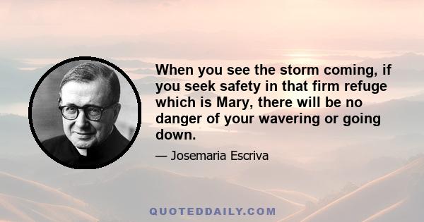 When you see the storm coming, if you seek safety in that firm refuge which is Mary, there will be no danger of your wavering or going down.