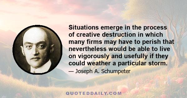 Situations emerge in the process of creative destruction in which many firms may have to perish that nevertheless would be able to live on vigorously and usefully if they could weather a particular storm.