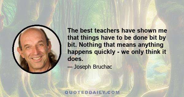 The best teachers have shown me that things have to be done bit by bit. Nothing that means anything happens quickly - we only think it does.