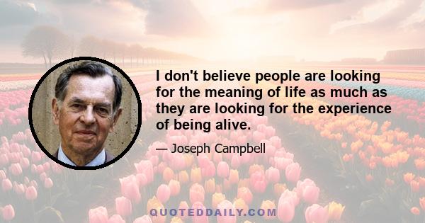 I don't believe people are looking for the meaning of life as much as they are looking for the experience of being alive.