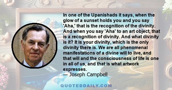 In one of the Upanishads it says, when the glow of a sunset holds you and you say 'Aha,' that is the recognition of the divinity. And when you say 'Aha' to an art object, that is a recognition of divinity. And what