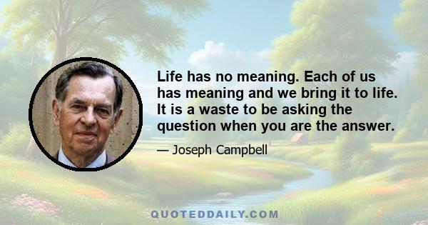 Life has no meaning. Each of us has meaning and we bring it to life. It is a waste to be asking the question when you are the answer.