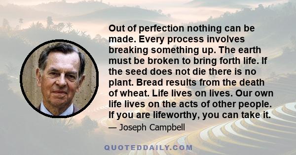 Out of perfection nothing can be made. Every process involves breaking something up. The earth must be broken to bring forth life. If the seed does not die there is no plant. Bread results from the death of wheat. Life