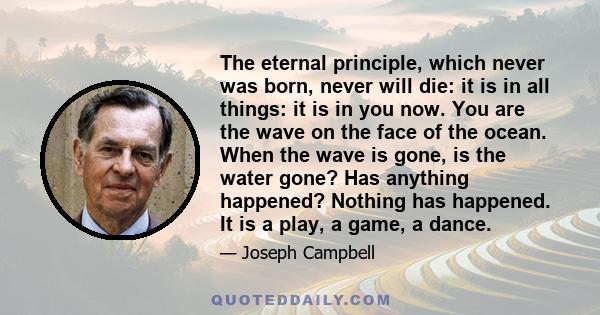 The eternal principle, which never was born, never will die: it is in all things: it is in you now. You are the wave on the face of the ocean. When the wave is gone, is the water gone? Has anything happened? Nothing has 