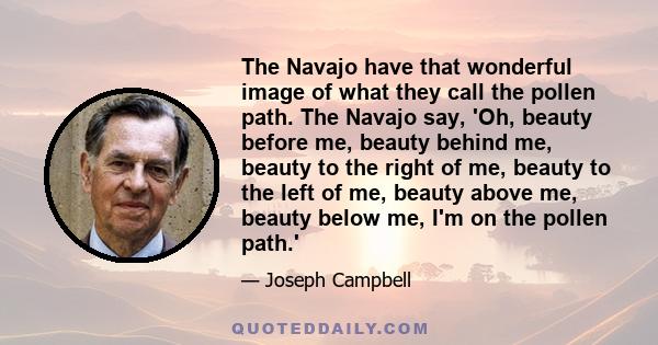 The Navajo have that wonderful image of what they call the pollen path. The Navajo say, 'Oh, beauty before me, beauty behind me, beauty to the right of me, beauty to the left of me, beauty above me, beauty below me, I'm 