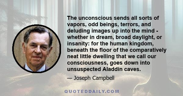 The unconscious sends all sorts of vapors, odd beings, terrors, and deluding images up into the mind - whether in dream, broad daylight, or insanity: for the human kingdom, beneath the floor of the comparatively neat