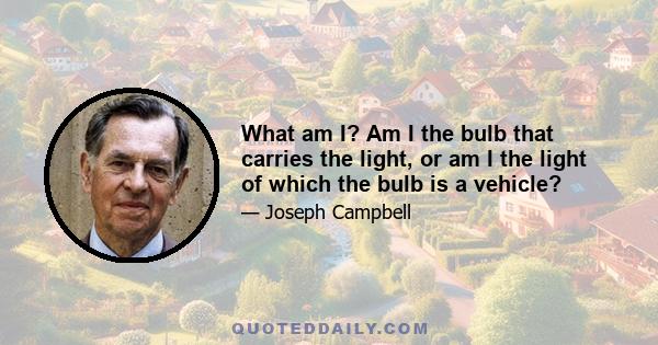 What am I? Am I the bulb that carries the light, or am I the light of which the bulb is a vehicle?