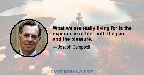 What we are really living for is the experience of life, both the pain and the pleasure.