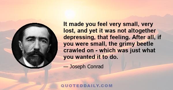 It made you feel very small, very lost, and yet it was not altogether depressing, that feeling. After all, if you were small, the grimy beetle crawled on - which was just what you wanted it to do.