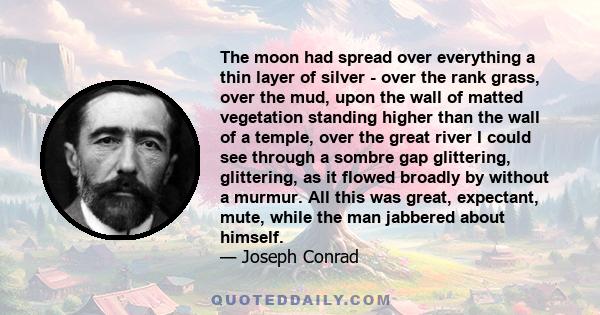 The moon had spread over everything a thin layer of silver - over the rank grass, over the mud, upon the wall of matted vegetation standing higher than the wall of a temple, over the great river I could see through a