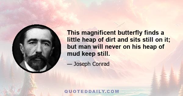 This magnificent butterfly finds a little heap of dirt and sits still on it; but man will never on his heap of mud keep still.