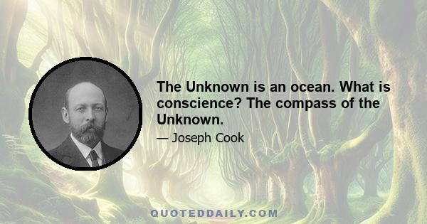 The Unknown is an ocean. What is conscience? The compass of the Unknown.