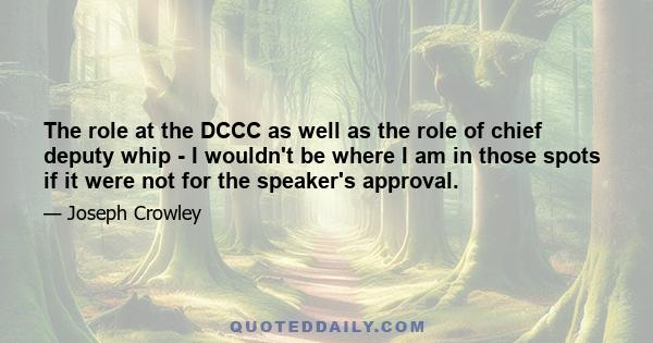 The role at the DCCC as well as the role of chief deputy whip - I wouldn't be where I am in those spots if it were not for the speaker's approval.