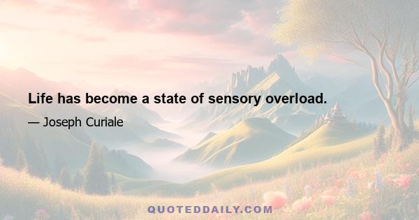 Life has become a state of sensory overload.