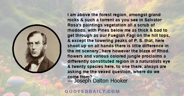 I am above the forest region, amongst grand rocks & such a torrent as you see in Salvator Rosa's paintings vegetation all a scrub of rhodods. with Pines below me as thick & bad to get through as our Fuegian Fagi on the