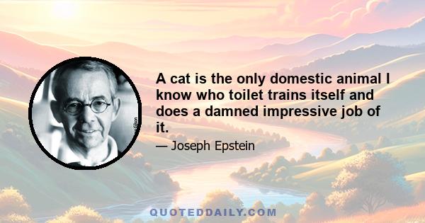 A cat is the only domestic animal I know who toilet trains itself and does a damned impressive job of it.