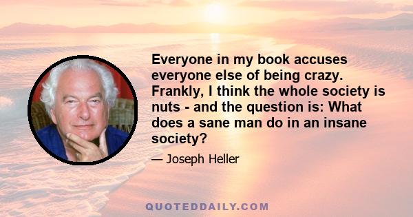 Everyone in my book accuses everyone else of being crazy. Frankly, I think the whole society is nuts - and the question is: What does a sane man do in an insane society?