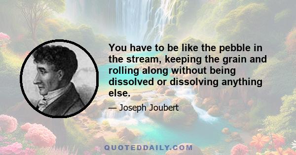 You have to be like the pebble in the stream, keeping the grain and rolling along without being dissolved or dissolving anything else.