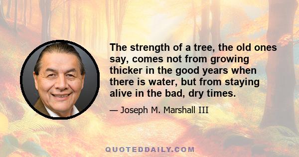 The strength of a tree, the old ones say, comes not from growing thicker in the good years when there is water, but from staying alive in the bad, dry times.