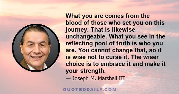 What you are comes from the blood of those who set you on this journey. That is likewise unchangeable. What you see in the reflecting pool of truth is who you are. You cannot change that, so it is wise not to curse it.