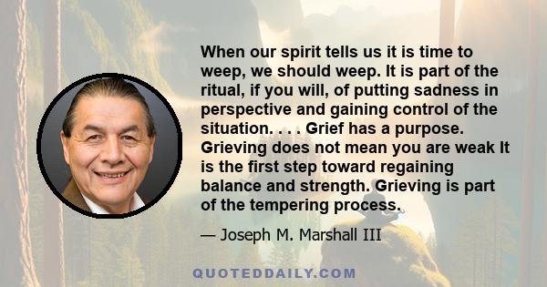 When our spirit tells us it is time to weep, we should weep. It is part of the ritual, if you will, of putting sadness in perspective and gaining control of the situation. . . . Grief has a purpose. Grieving does not