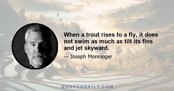 When a trout rises to a fly, it does not swim as much as tilt its fins and jet skyward.